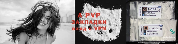 прущие грибы Белокуриха