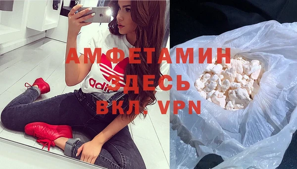 прущие грибы Белокуриха