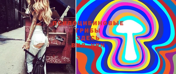 индика Балабаново