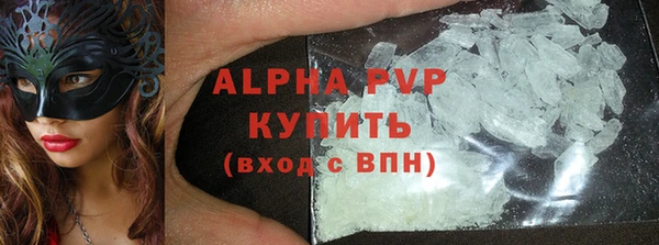 прущие грибы Белокуриха