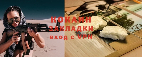 прущие грибы Белоозёрский