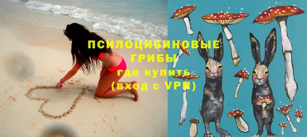 прущие грибы Белокуриха