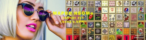 прущие грибы Белоозёрский
